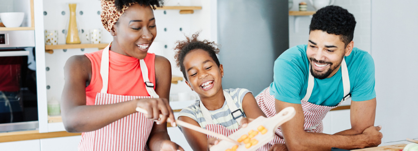 MEd in Indigenous Banner